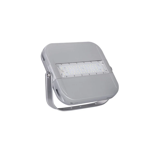 30w IP66 Led Flood Light